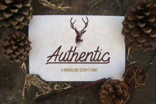 Authentic Typeface Review: Elevating Campaign Visuals with Natural Script Design