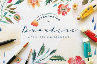 Brandine: The Script Font That Elevates Small Business Branding
