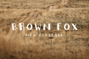 Brown Fox Typeface: A Designer’s Take on Digital Elegance