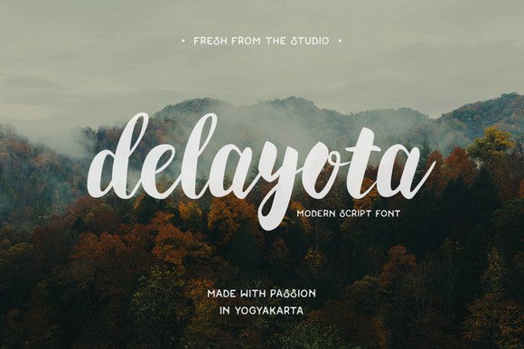 Delayota Typeface: Elevating Digital Brand Identity