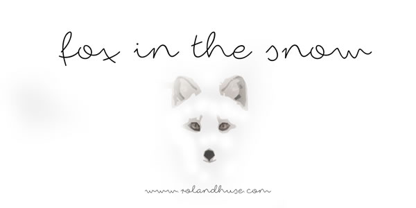 Fox in the Snow: A Designer’s Take on This Handwritten Typeface