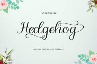 Hedgehog Typeface Review: A Script Font for Editorial Design