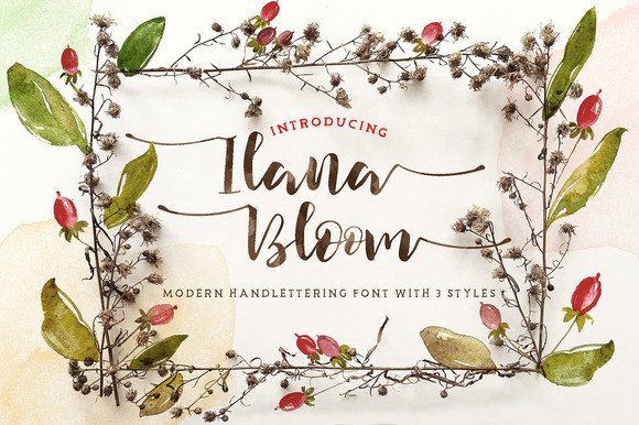Ilana Bloom: A Designer’s Honest Take on This Script Amp