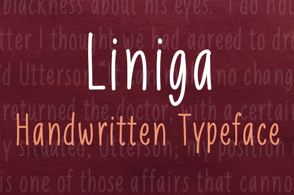Liniga Script Amp: A Designer’s Honest Review for Real Projects