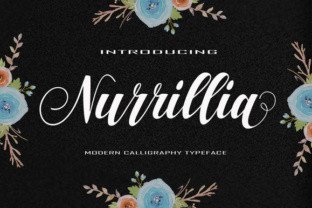 Nurrillia: A Designer’s Honest Take on This Script Amp