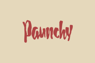 Paunchy: A Playful Script Amp Typeface for Handmade Branding