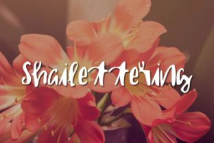 Shailettering: A Creative Review for Small Business Branding