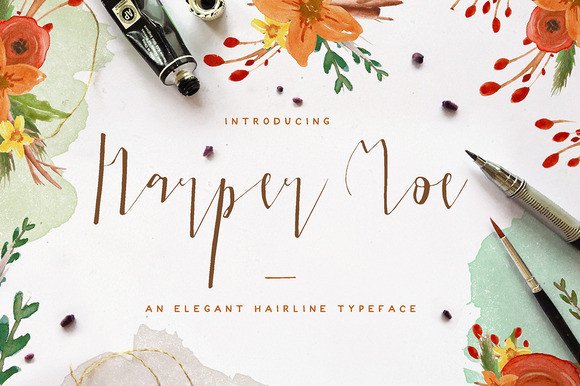 Upgrade Your Brand Identity with Harper Moe Script Font