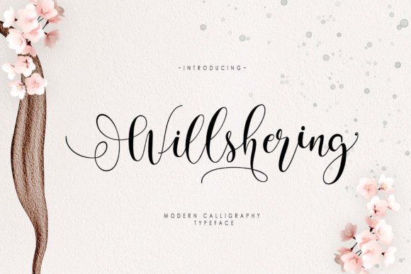 Will Shering Review: A Designer’s Take on This Script Amp